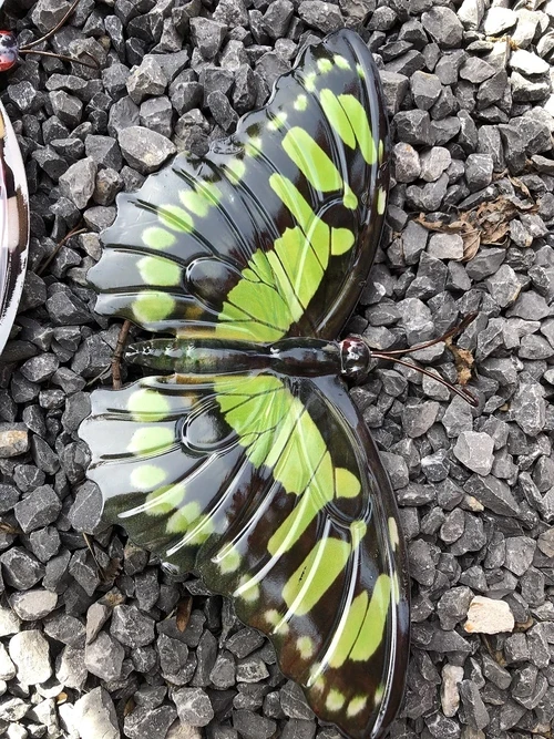 Beautiful set of wall butterflies, beautiful in color and made of metal.