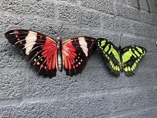 Beautiful set of wall butterflies, beautiful in color and made of metal.
