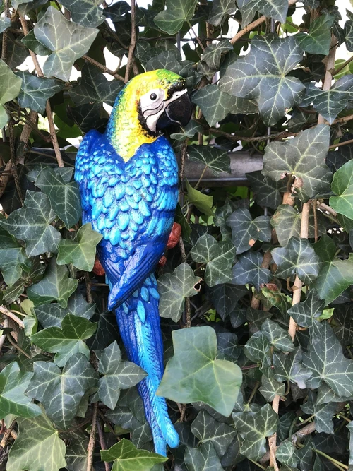 Set of Colorful Parrots - 36 cm - Cast Iron - Wall Decoration