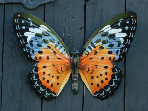 Butterfly Orange - 35 cm - Wall decoration - Metal