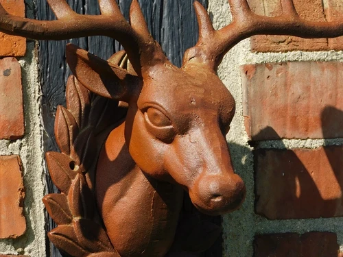 Wall ornament Deer head - Brown - Cast iron oxid