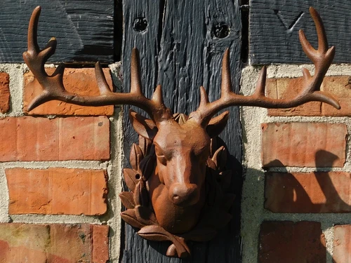 Wall ornament Deer head - Brown - Cast iron oxid