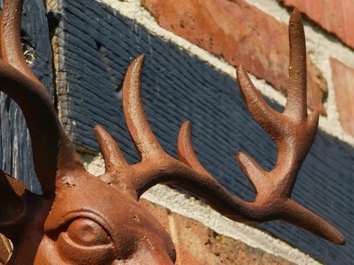 Wall ornament Deer head - Brown - Cast iron oxid