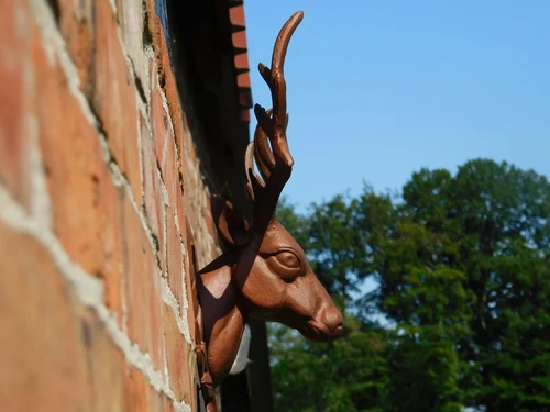 Wall ornament Deer head - Brown - Cast iron oxid