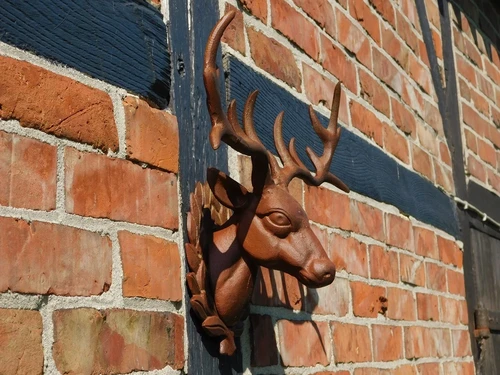 Wall ornament Deer head - Brown - Cast iron oxid