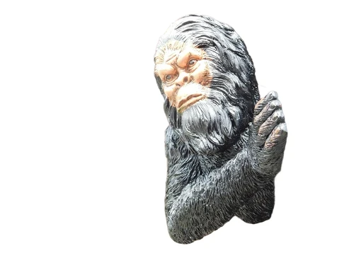 Een aap voor aan de wand, dierenbeeld van een aap, kijkend in de verte
