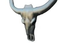 Mooie grote aluminium schedel met horens, geweldig mooi!!