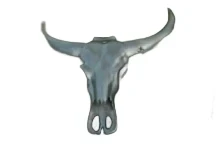 Mooie grote aluminium schedel met horens, geweldig mooi!!