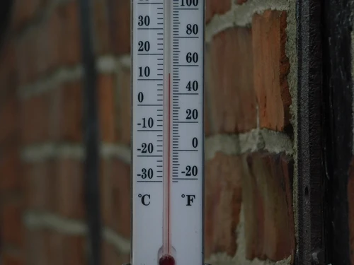 Thermometer with French Lily - Cast Iron - Window Thermometer - Weatherproof