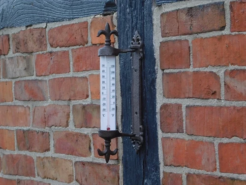 Thermometer with French Lily - Cast Iron - Window Thermometer - Weatherproof
