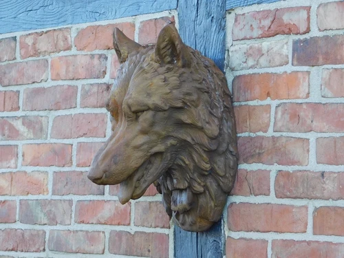 Wolf's head - polystone - in oxide - wall decoration