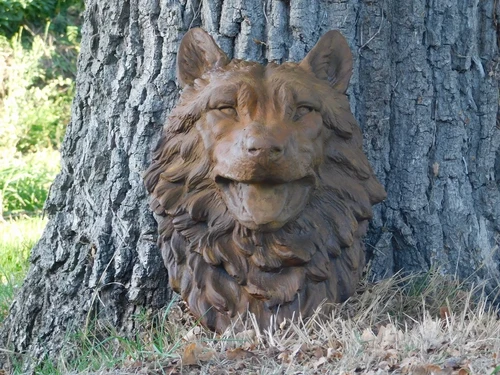Wolf's head - polystone - in oxide - wall decoration