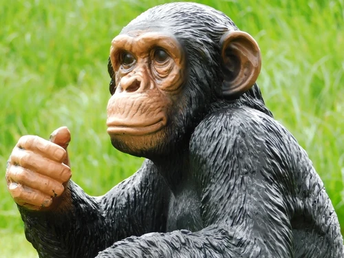Statue Monkey - 37 cm - Polystone