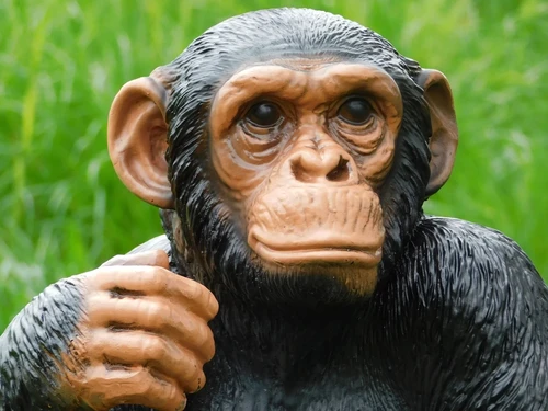 Statue Monkey - 37 cm - Polystone