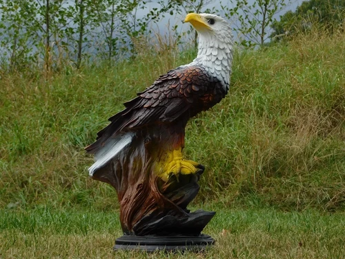 Beeld Adelaar - 65 x 40 cm - Polystone