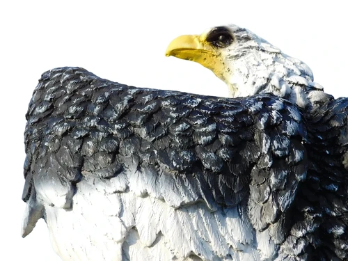 Statue Eagle Black White - 45 cm - Polystone