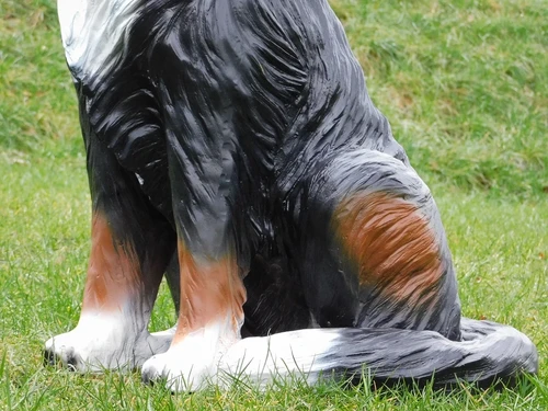 Statue Bernese Mountain Dog - 80 cm - Polystone