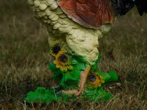 Colour Rooster Statue - 37 cm - Polystone