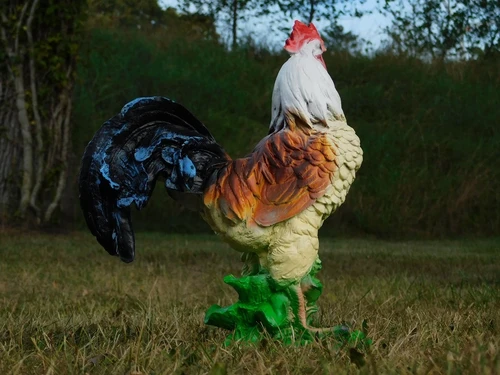 Colour Rooster Statue - 37 cm - Polystone