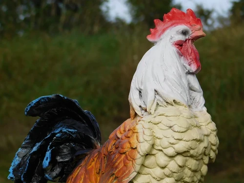 Colour Rooster Statue - 37 cm - Polystone
