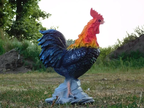 Beeld Haan XL - 65 cm - Polystone in Kleur
