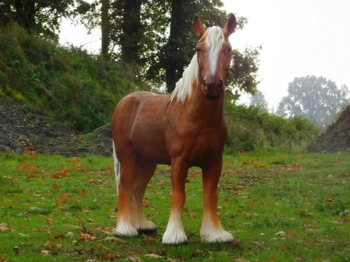 Statue Horse Blond - 110 cm - Polystone