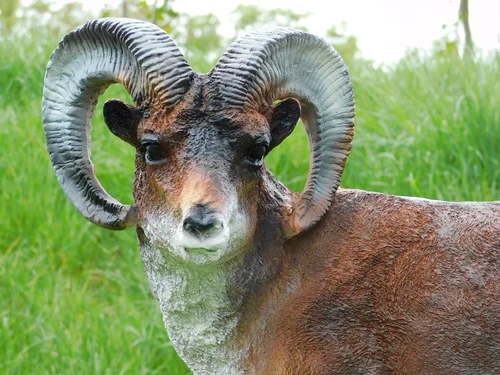 Last One: Statue Ram - 65 cm - Polystone