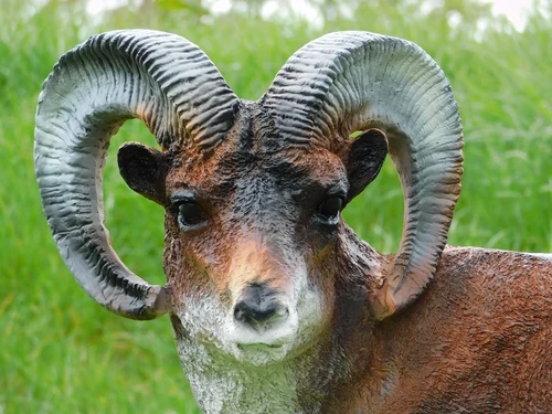 Last One: Statue Ram - 65 cm - Polystone