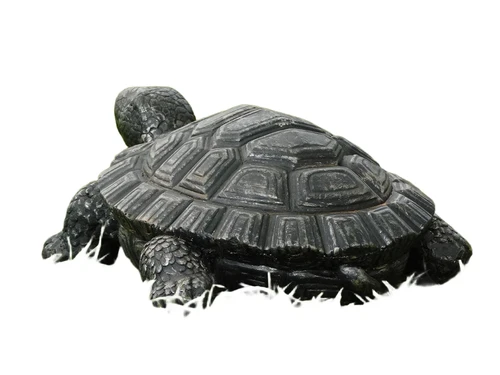Statue turtle - 32 cm - Magnesia