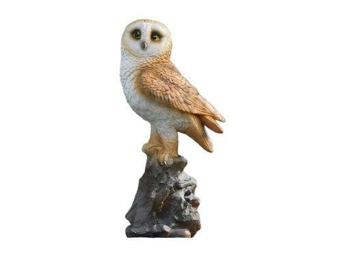 Statue Owl - 35 cm - Polystone - Detailed