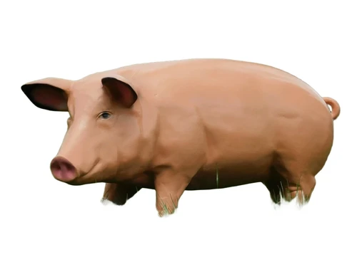 Statue Pig XL - 97 cm - Polystone