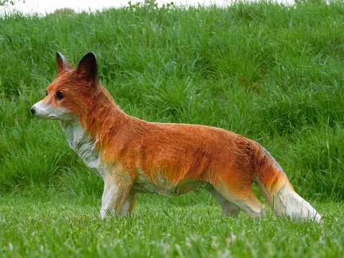 Statue Fox - 50 cm - Polystone