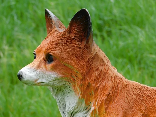 Statue Fox - 50 cm - Polystone