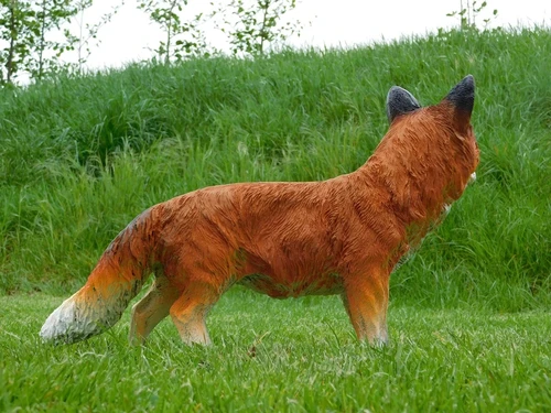 Statue Fox - 50 cm - Polystone