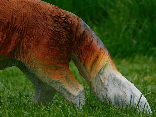 Statue Fox - 50 cm - Polystone
