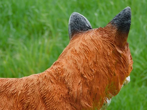 Statue Fox - 50 cm - Polystone
