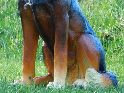 Shepherd dog L - 78 cm - Polystone