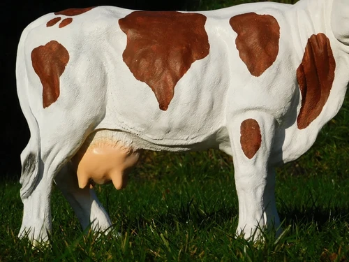 Cow in Colour - 65 cm - Brown with White - Polystone