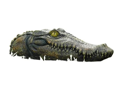 Crocodile head - 35 cm - Polystone