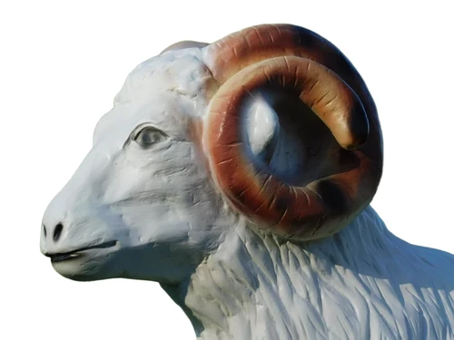 Sheep with Horns - 85 cm - Polystone