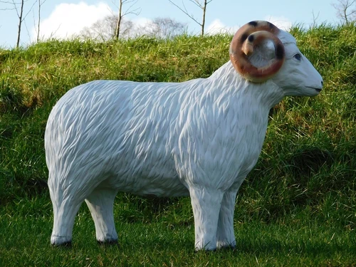 Sheep with Horns - 85 cm - Polystone