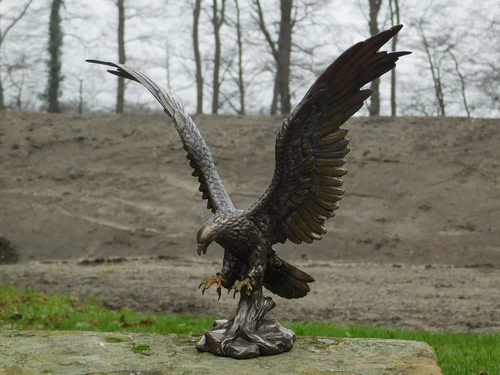 Eagle - bronze - polystone- No sending!