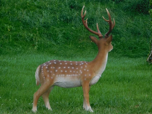 Statue Hirsch XL | Polystone | Sikahert | Ganz in Farbe