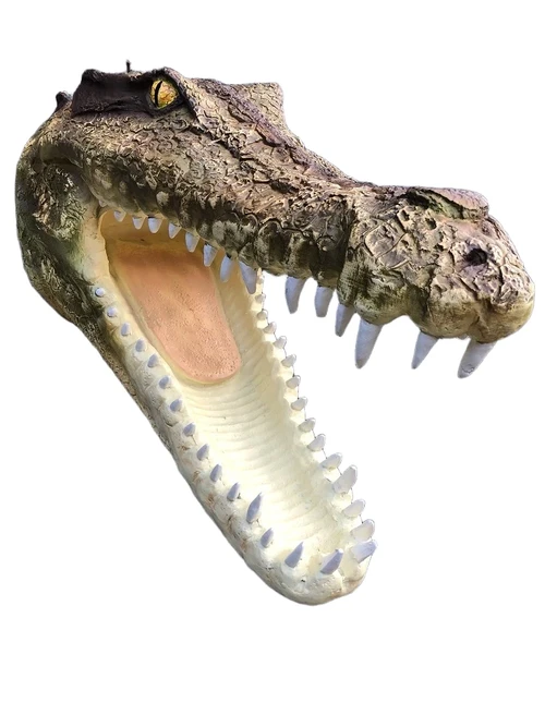 Lifelike crocodile head with open mouth, very nice design!