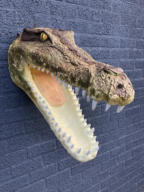 Lifelike crocodile head with open mouth, very nice design!