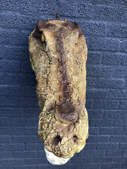 Lifelike crocodile head with open mouth, very nice design!