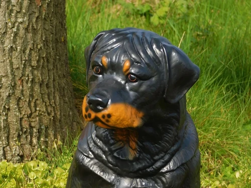 Prachtig polystonen beeld van een rottweiler.