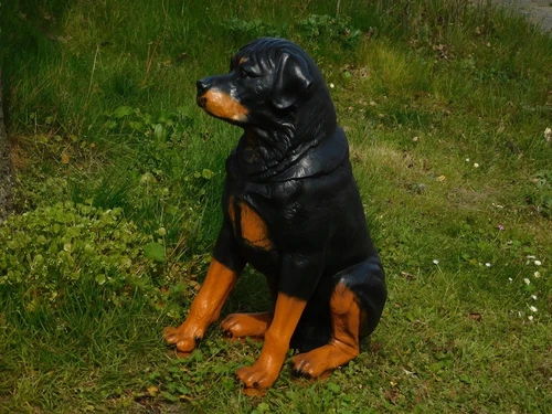 Prachtig polystonen beeld van een rottweiler.