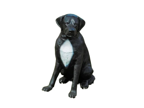 Prachtige ''Rottweiler'' zwart/wit - van Polystone