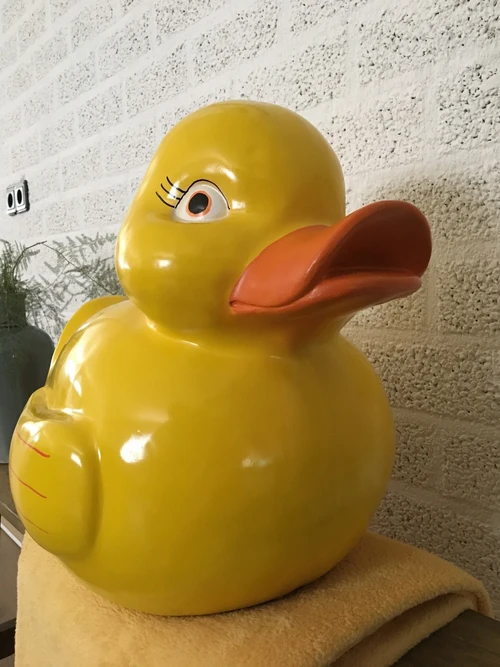 Prachtige forse eend als spaarpot, polystone.